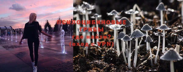 дурь Абдулино